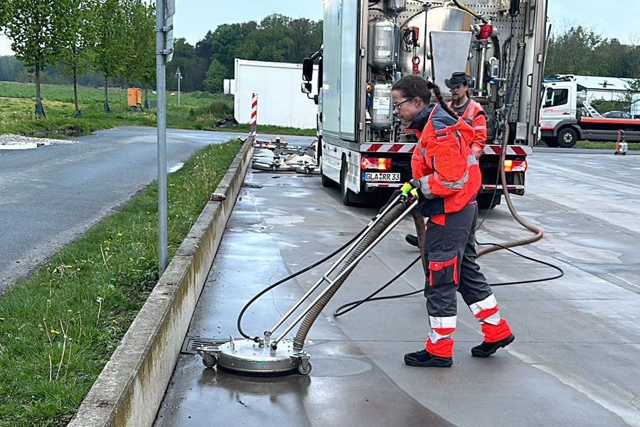 Moos entfernen